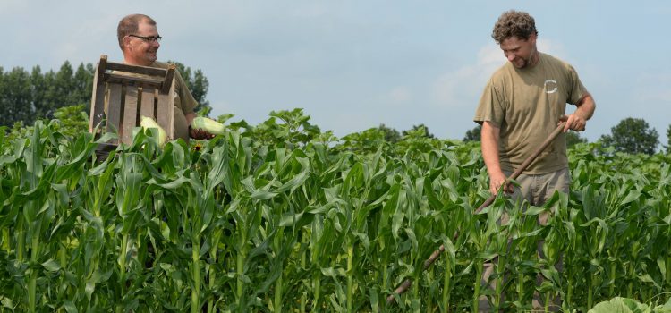 Eerlijk vlees van natuurtuin ’t Hummelhus