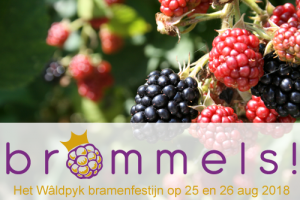 Wâldpyk bramenfestijn Brommels! 2018