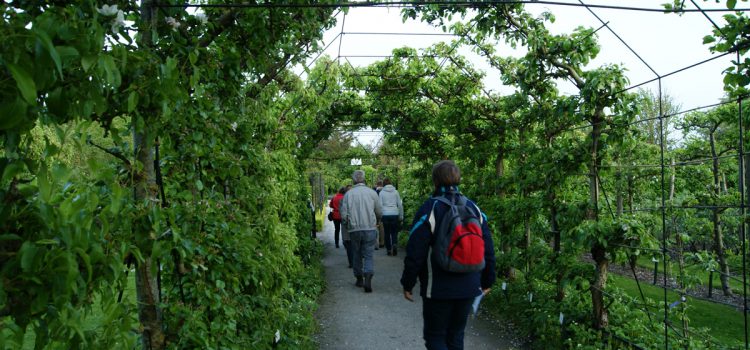 De Kruidhof Hortus van Fryslân leukste uitje van Fryslân?