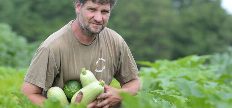 Meer dan 100 soorten groente en fruit in natuurtuin ’t Hummelhûs