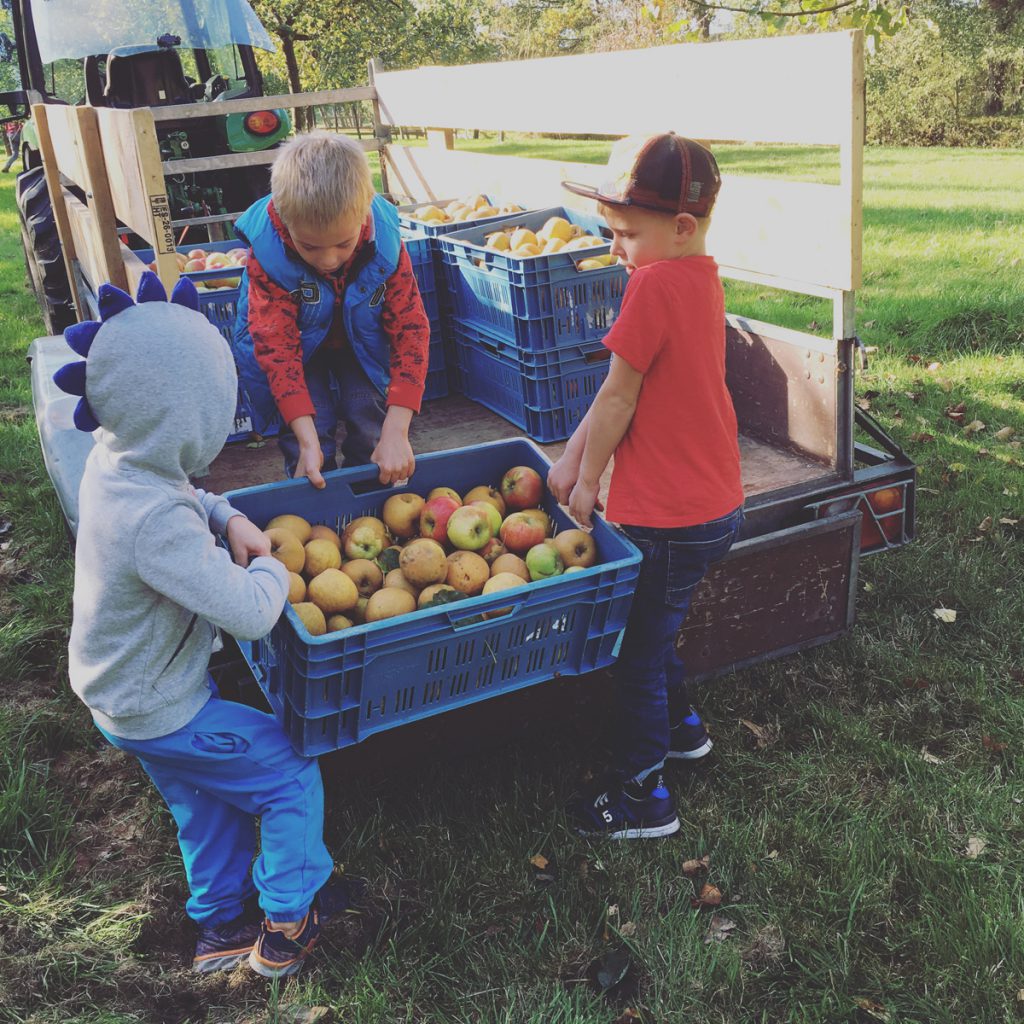 Fryske Frucht zoekt appels