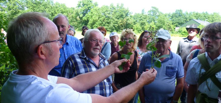 Brommels bloeiexcursie: Karst Meijer dit keer in Kollumerzwaag