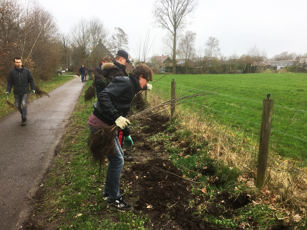 aanleggen meidoornhaag Eastermar