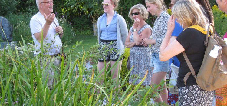 Genieten van De Kruidhof Hortus van Fryslân bij avondlicht