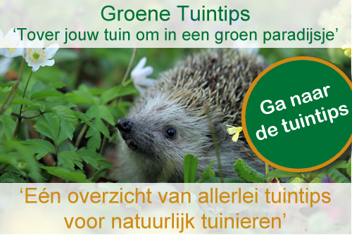 Groene tuintips: één overzicht met allerlei tuintips voor natuurlijk tuinieren