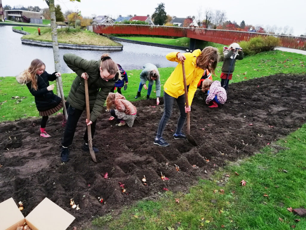 Bloembollen actie Kollum 2021