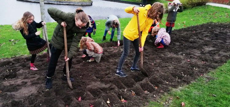 Middelbare scholieren en basisschoolkinderen planten bloembollen in Kollum