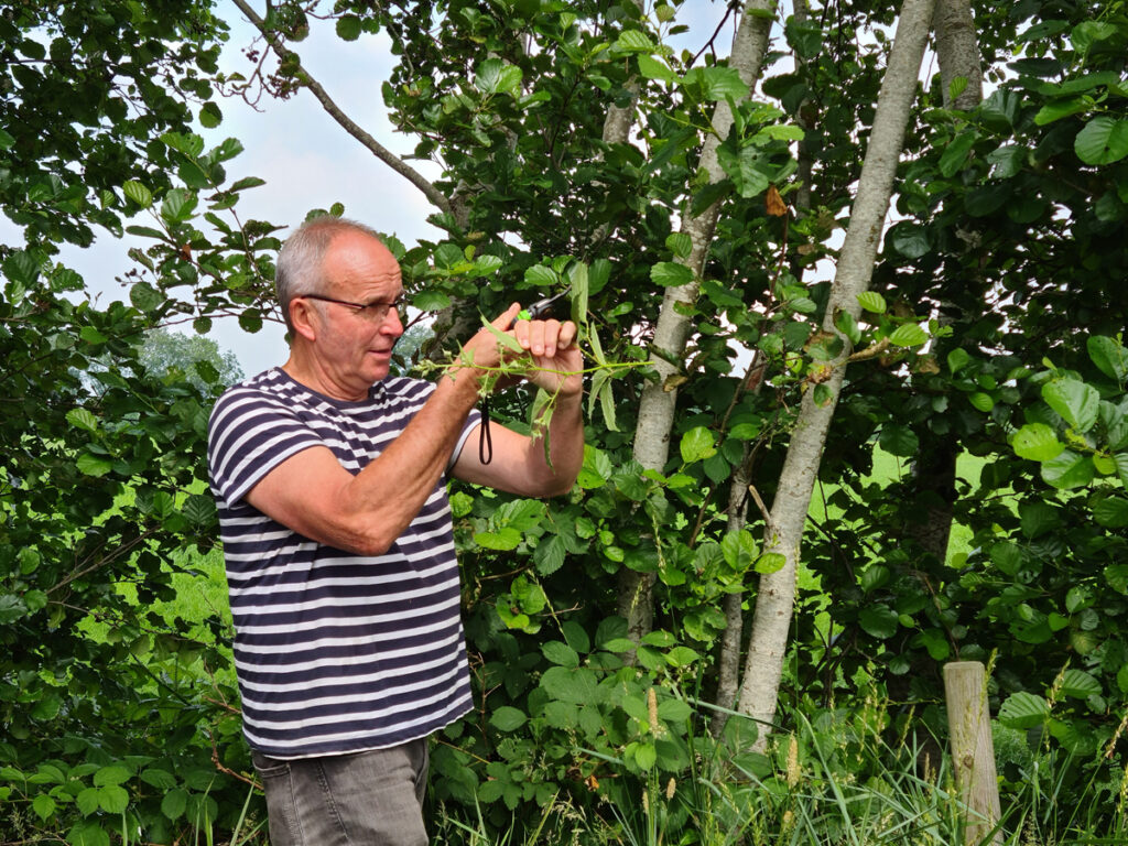 Bramenbloeiexcursie Conny Bloemhoff