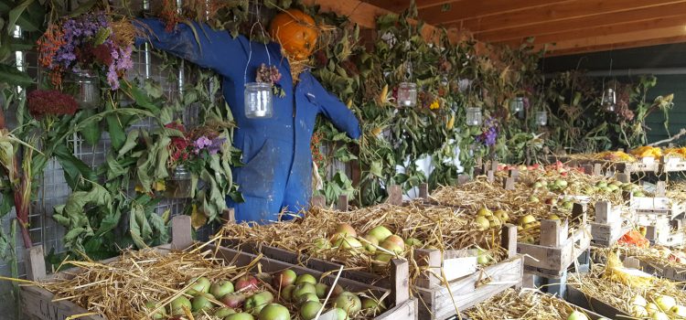 Oogstfeest en fruitshow bij De Kruidhof hortus van Fryslân