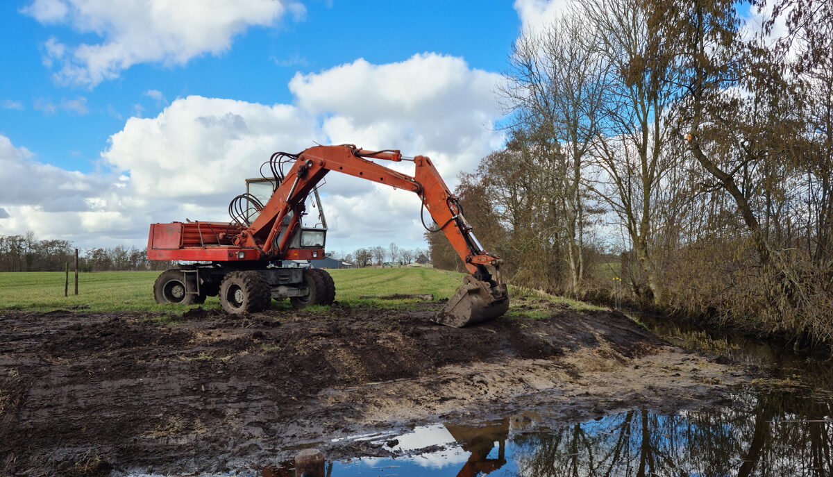 Insectennetwerk Surhuisterveen