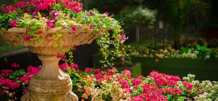 Groene tuintips: één overzicht met allerlei tuintips voor natuurlijk tuinieren Groene tuintips: één overzicht