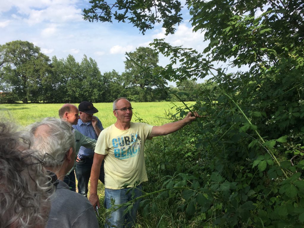 Karst Meijer vindt de spikkelhaagbraam